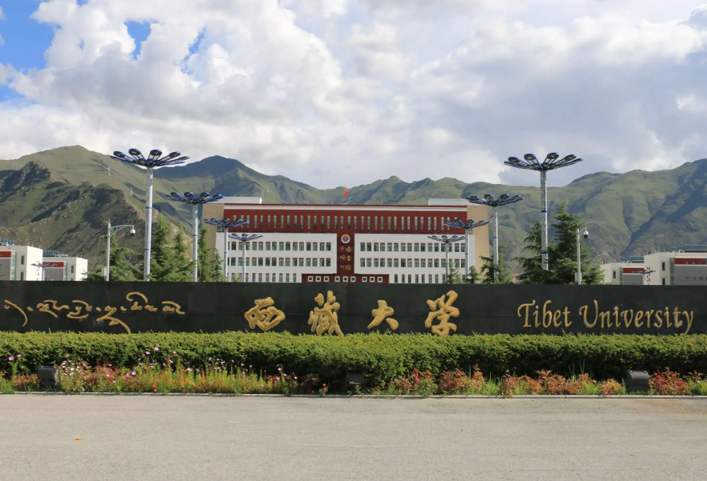 西藏大学项目案例