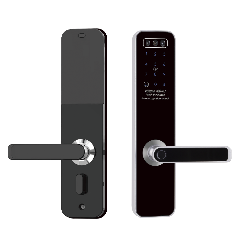 LoRa联网门锁-DY4019-RL