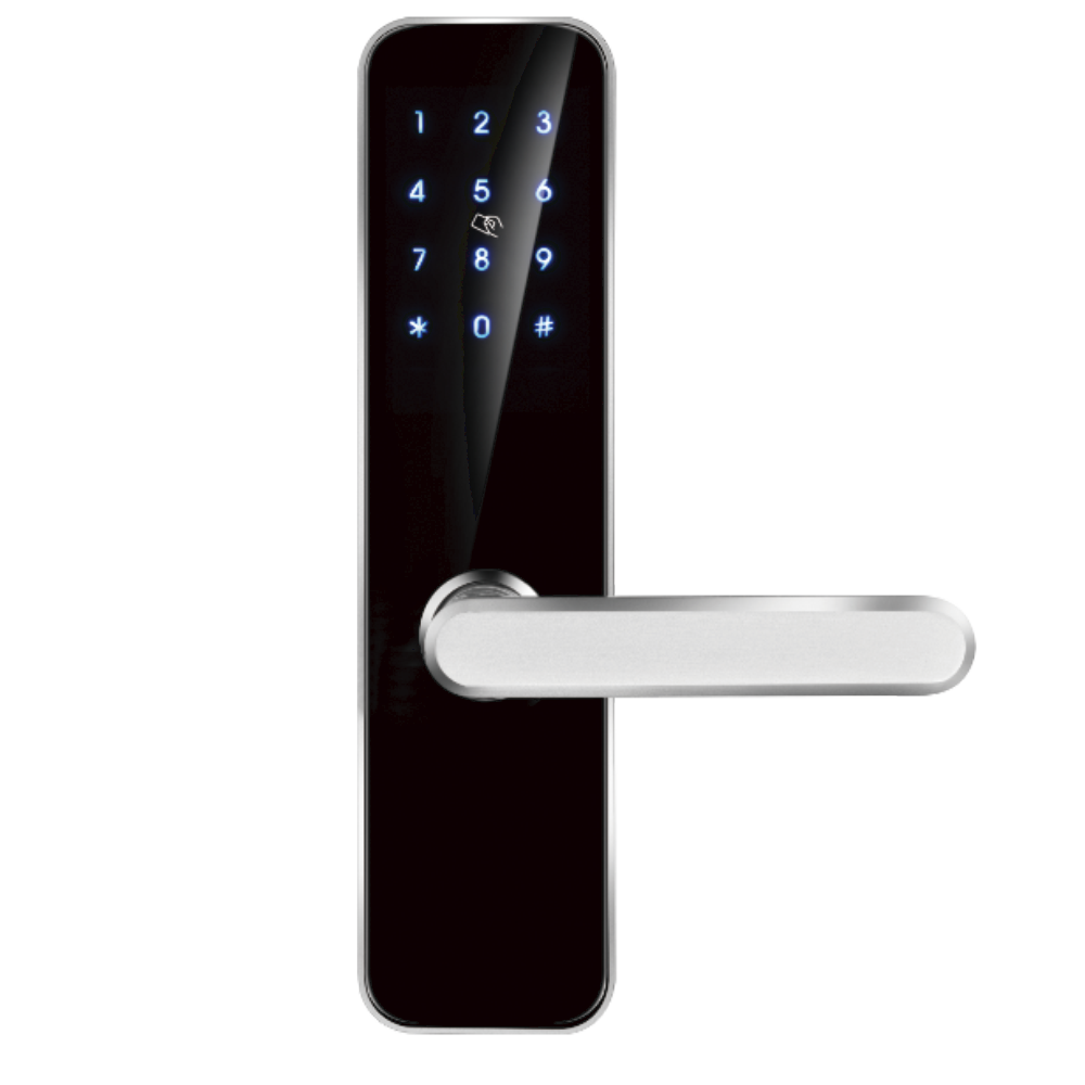 LoRa联网门锁-DY50-L