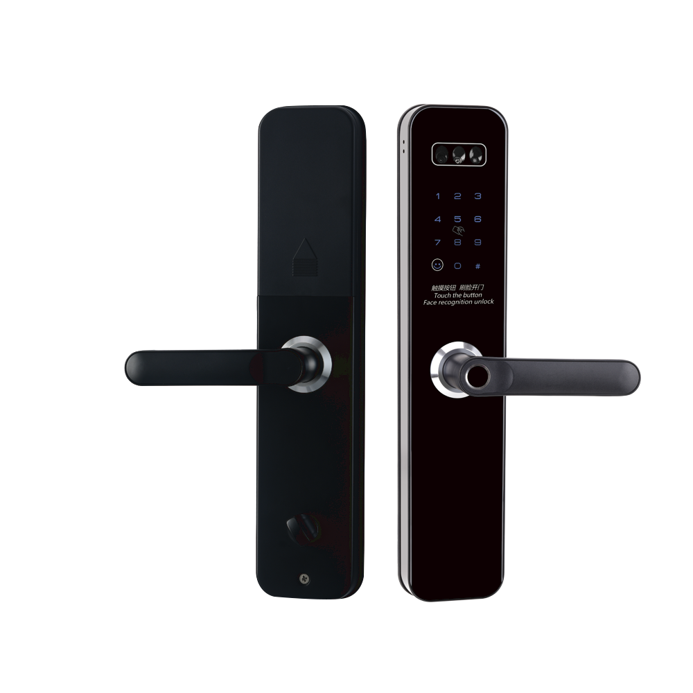 LoRa联网门锁-DY50-RL